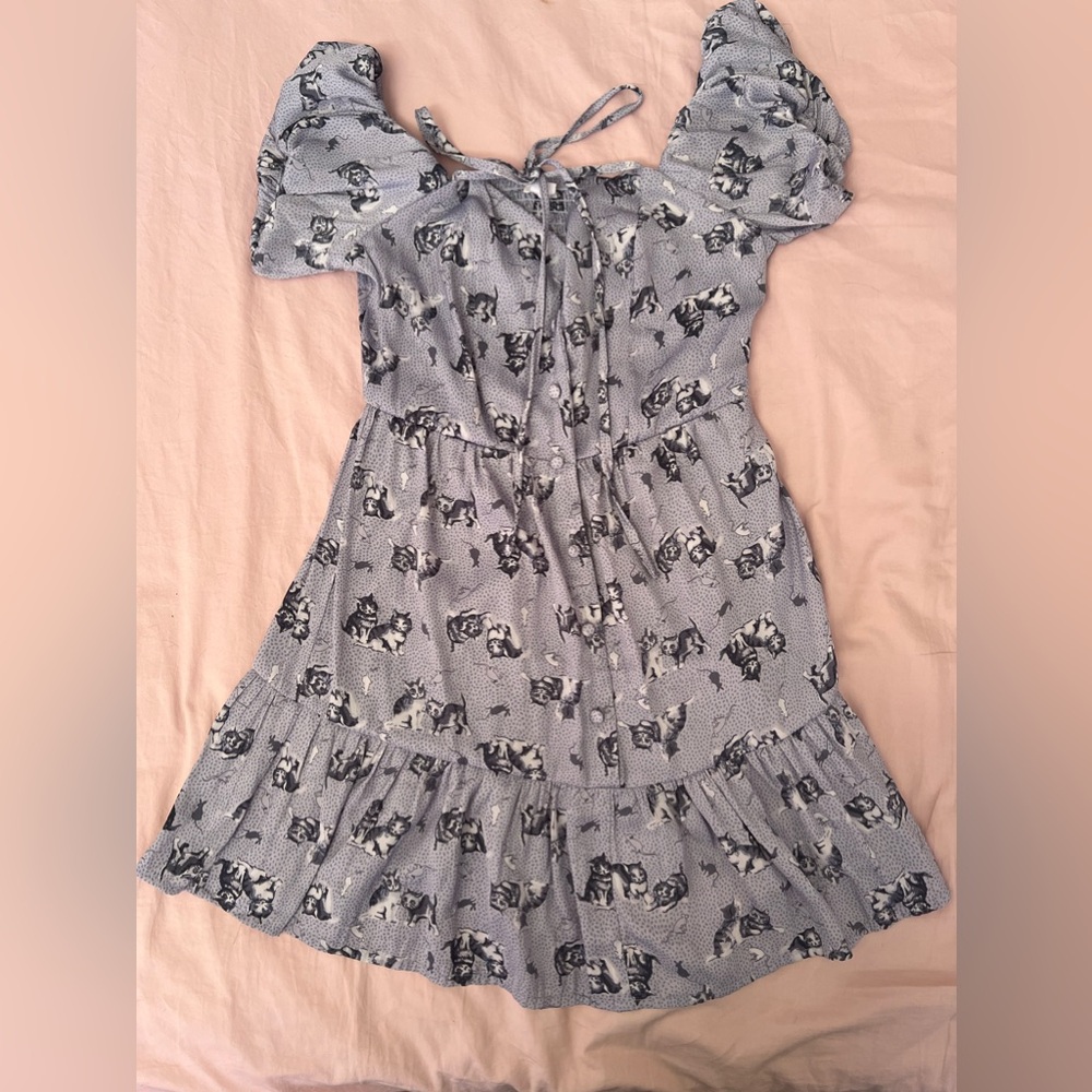 Kimchi Blue kitten print dress